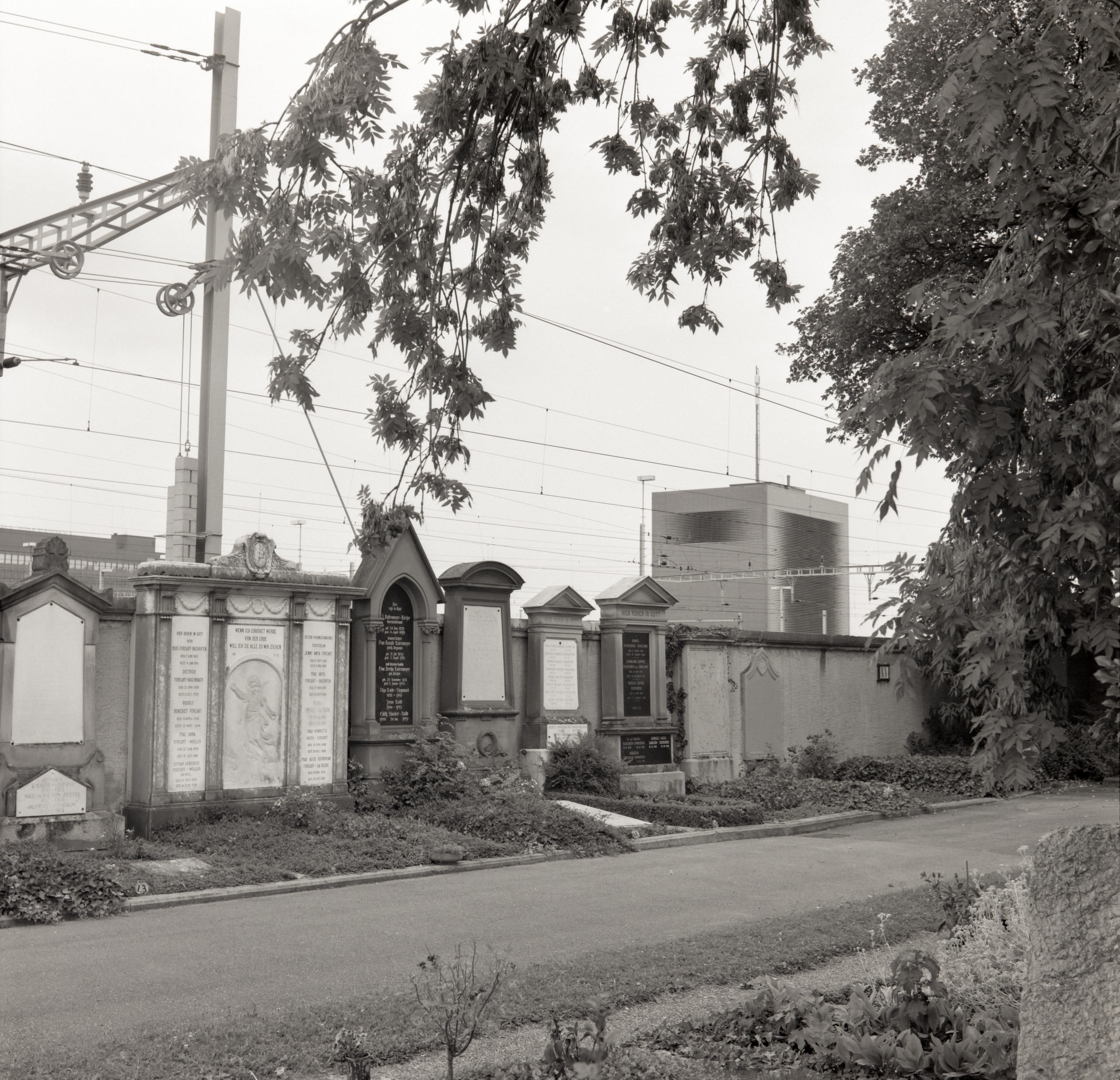 AHP FilmScan 240808 0982